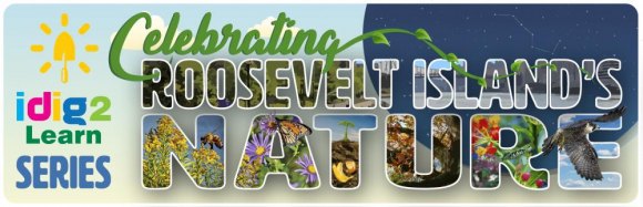 iDig2Learn: Celebrating Roosevelt Island's Nature iDig2Learn: Celebrating Roosevelt Island's Nature